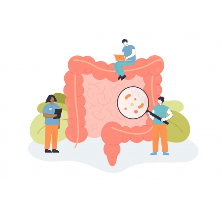 阿克曼氏菌 Akkermansia muciniphila 是什麼？瘦身菌真相與減重應用解析