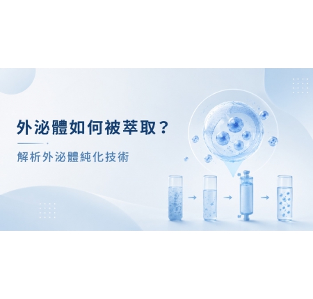 外泌體如何被萃取？5大胞外囊泡分離與純化技術解析